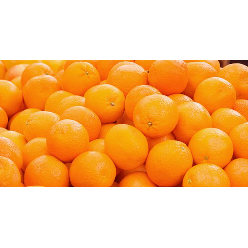Orange Fruits