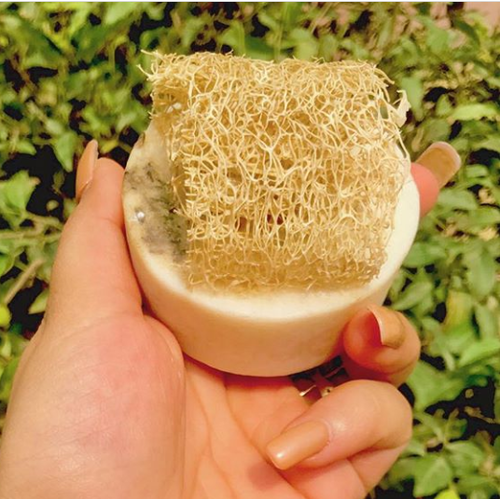 Handmade Soaps Ingredients: Herbal Extract