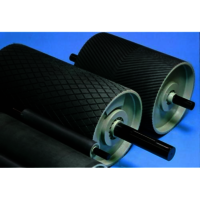 Steel Tail Pulley