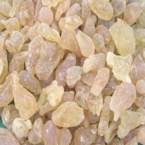 Boswellia Serrata Extract