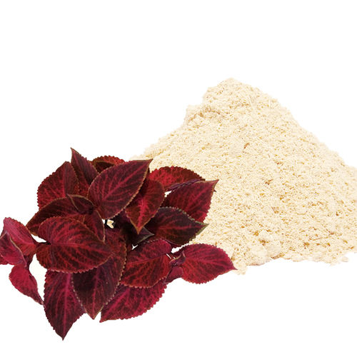 Coleus Dry Extract