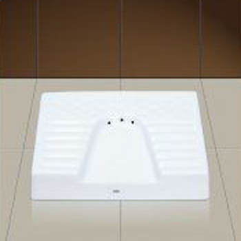 Ladies Urinal