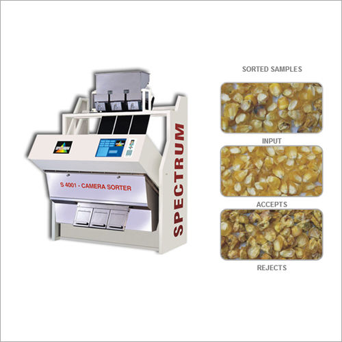 Dehydrated Sweet Corn Color Sorter Air Pressure: 7 Bar