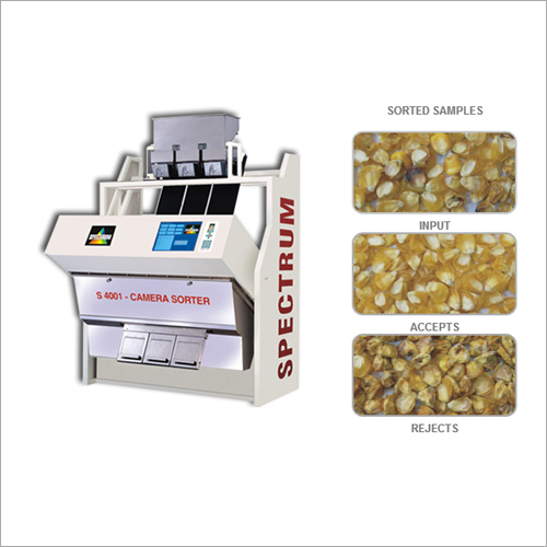 Dehydrated Sweet Corn Color Sorter