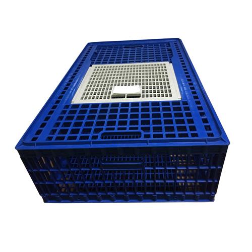 Transportation Cage