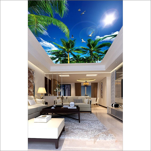 Ceiling Decor Wall Paintings