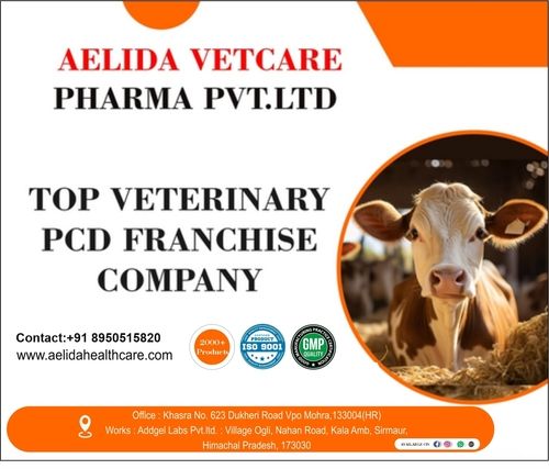 PCD Veterinary Pharma Franchise Company In India