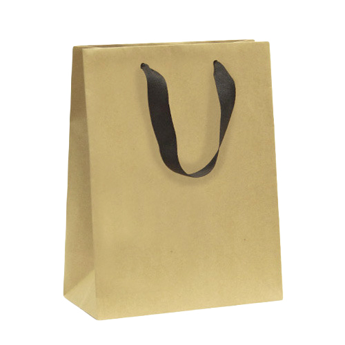 Brown Paper Bag - Custom Size | Biodegradable, Recyclable, Tear-Resistant with Flexiloop and Hand Length Handles