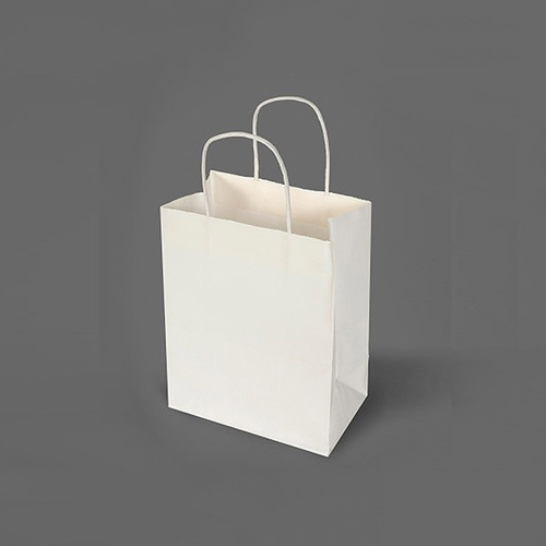 Plain Paper Bag - Custom Sizes, Flexiloop Handle & Hand Length Handle | High Tensile Strength, Durable Alternative to Plastic Bags