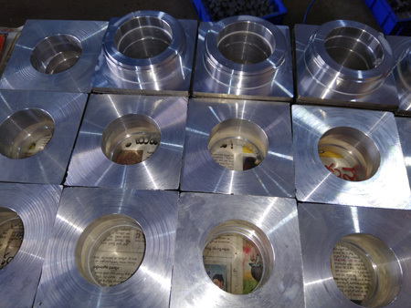 Stainless Steel Flanges