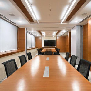 Decorative Structural Ceiling