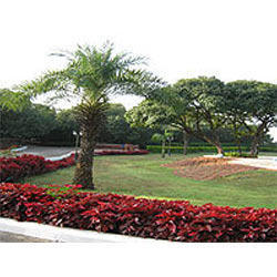 Farmhouse Landscaping Services