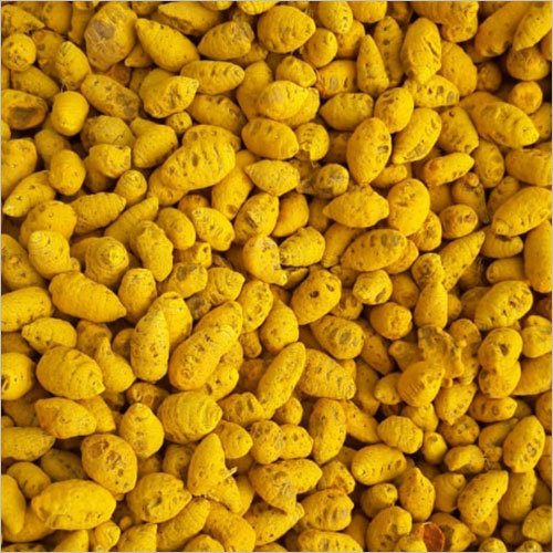 Turmeric Fingers - Salem Double Polished ( Ghatta)