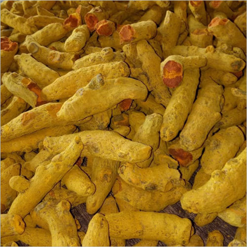 Turmeric Finger - Double Polished