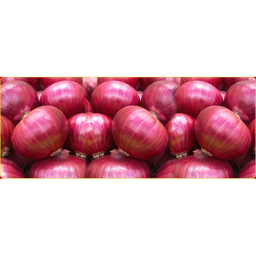Fresh Red Onion