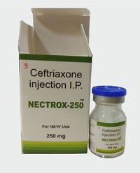 Ceftriaxone Dry Powder Injections