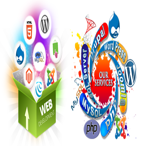 Web Development Solutions