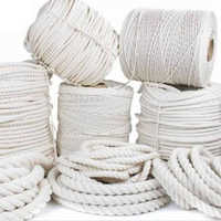 White Nylon Braided Rope Rope Width: 6-12 Millimeter (mm)