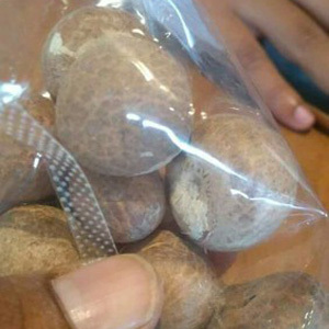 Betel Nuts - Natural Plant-Based Brown Nuts, Non-Toxic, Medicinal, Versatile