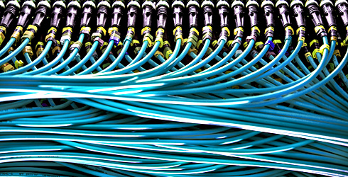 castor oil for electronic castor oil for electronic