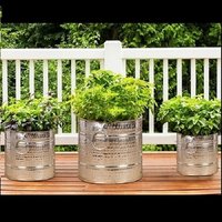 Iron Planter / Brass Planter / Outdoor Planter