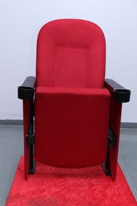 Stylish Auditorium Chairs
