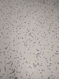 व्हाइट एंटी स्टेटिक टाइल्स फ़्लोरिंग