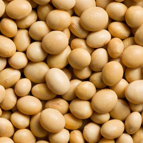 Pure Brown Eggs