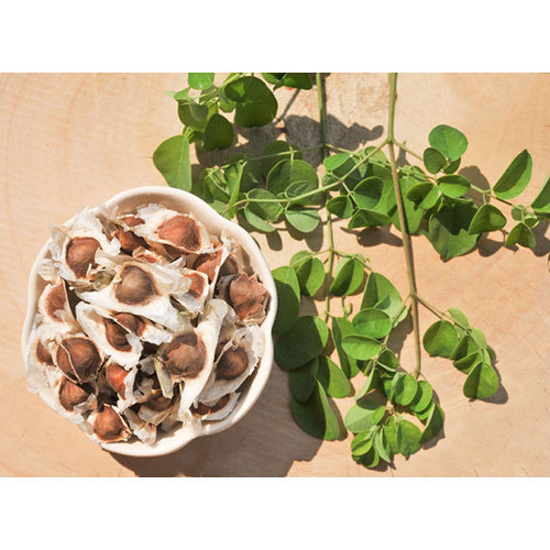 Organic Moringa Seed
