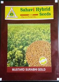 Mustard Surabhi Gold seeds