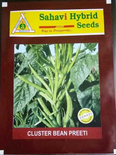 Green Cluster Bean Preeti