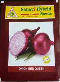 Onion Red Queen