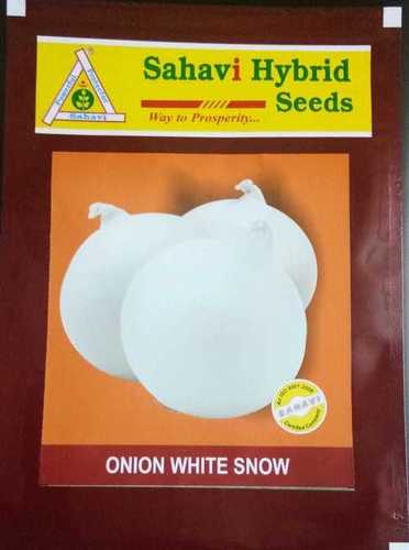Onion White Snow