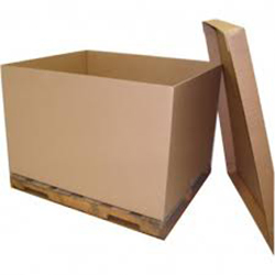 Packaging Carton Boxes