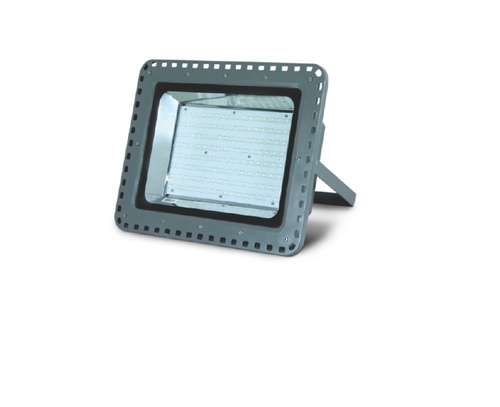 Flood LED Light