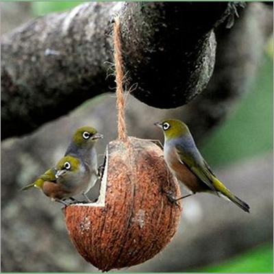 L Cutting Bird feeder with birds