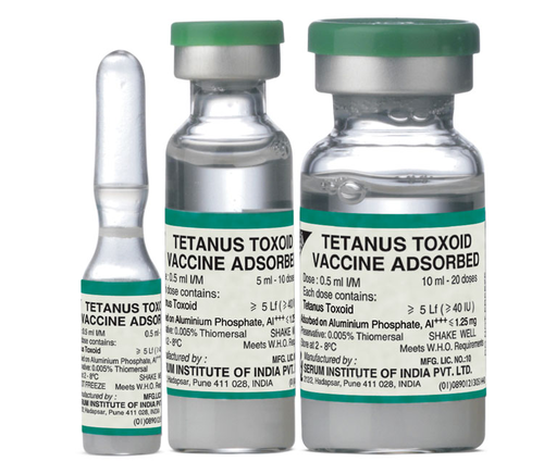 TT Vaccine