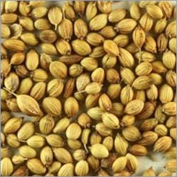 Coriander Seeds