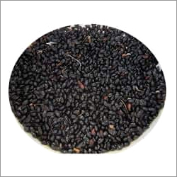 Tulsi Seeds