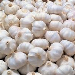 Fresh Garlic