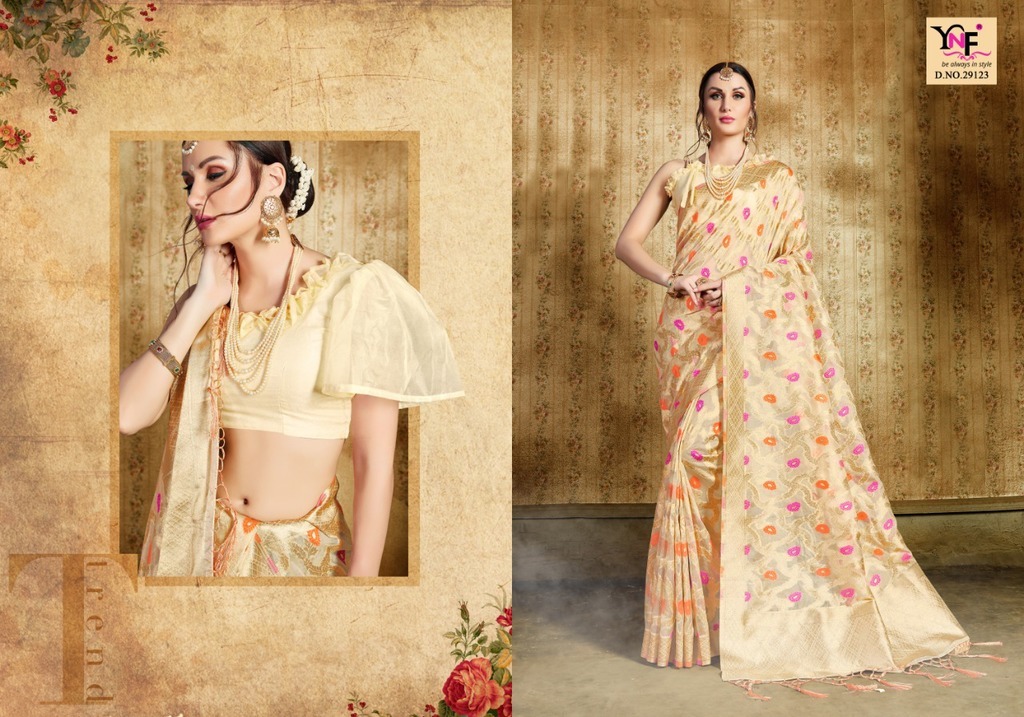 Indian Traditional Sarees