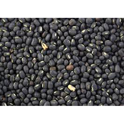 Black Urad Dal