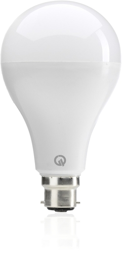 Led Bulb