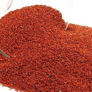 Asaliya Seed
