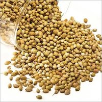 Fresh Brown Whole And Split Coriander Seeds