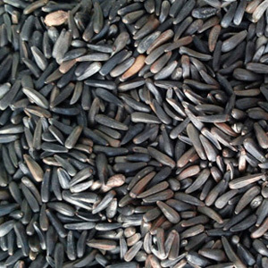 Niger Seeds