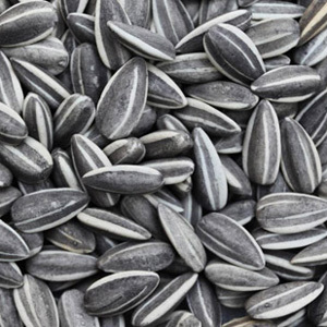 Sunflower Seeds
