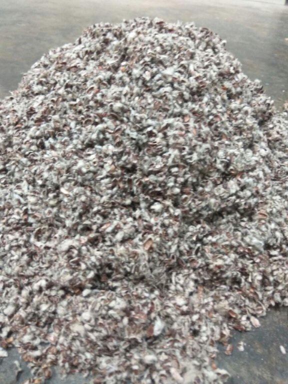 Cotton Seed Hulls