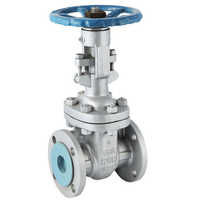 Cast Steel Gate Valve