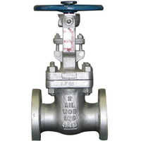 Industrial Cast Steel Gate Valve